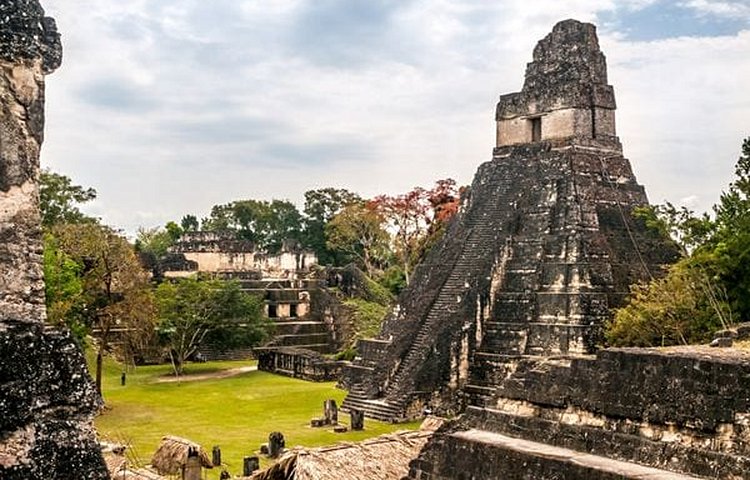 Le site maya de Tikal avec ses temples, palais et pyramides, une merveille cachée dans la forêt tropicale. 