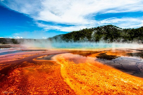 Observer les geysers et sources chaudes de Yellowstone