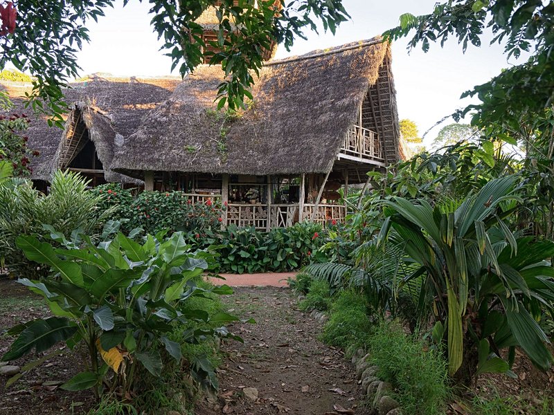 Amazonie