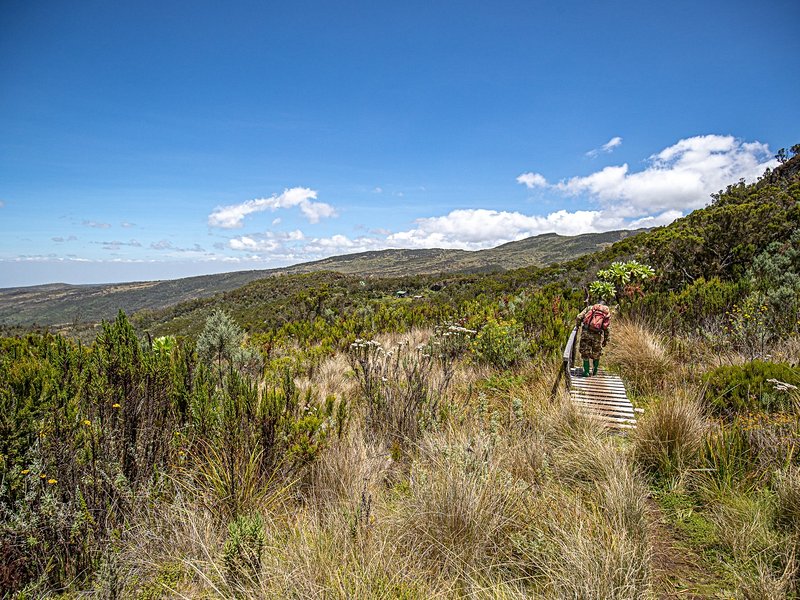 Parc national du mont Kenya