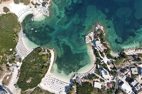 Lori Beach