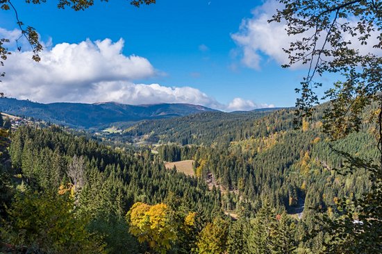 La rando panoramique : le Feldberg