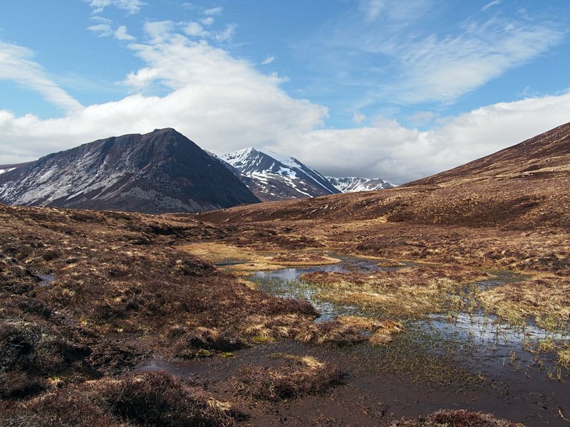 Cairngorms
