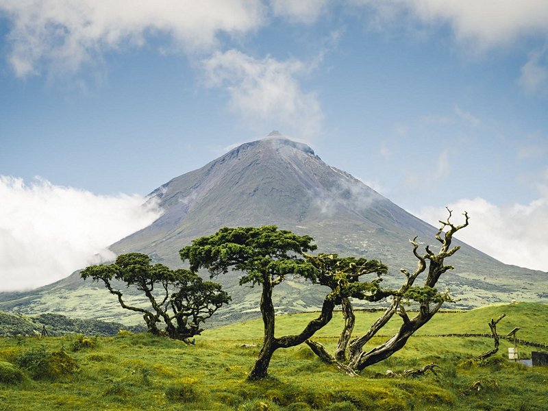 Volcan de Pico