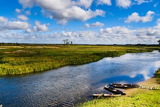 Parc national de la Biebrza