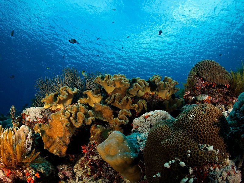 Les îles Banda, Moluques