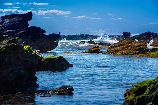 Jogashima