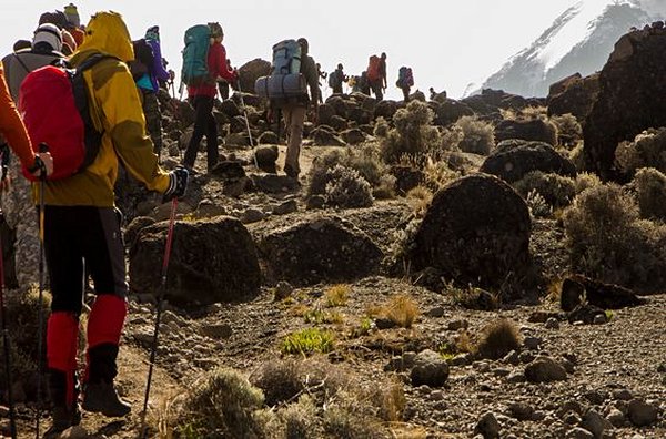 Faire l’ascension du mont Kilimandjaro 