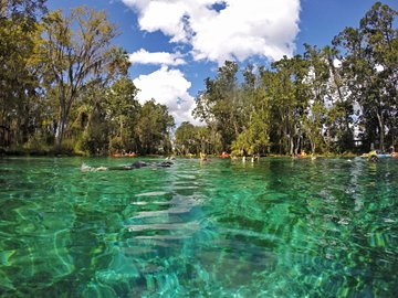 Crystal River