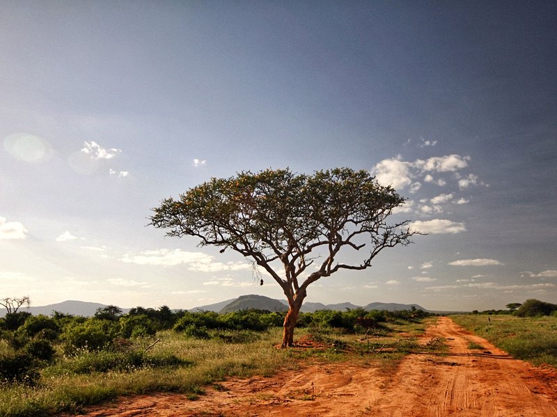 Parcs nationaux de Tsavo est et Tsavo ouest