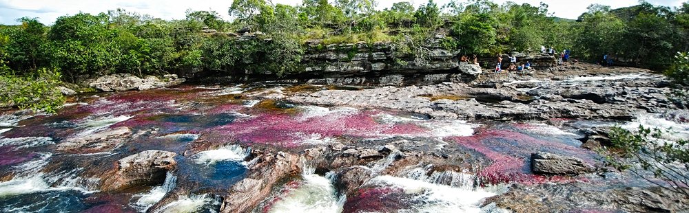 Caño Cristales