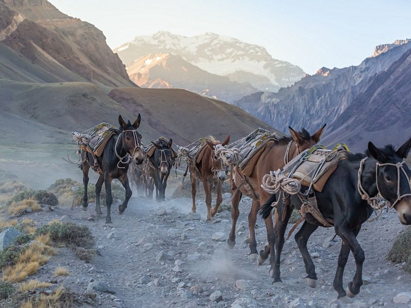 L’Aconcagua