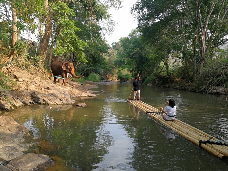 Trek à Chiang Mai : le Huai Pong Trail