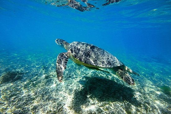 Gili Meno