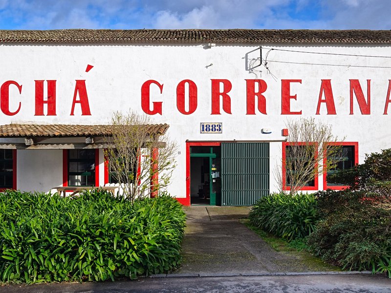 Plantation de thé Gorreana Cha