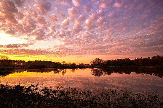 Parc national De Groote Peel