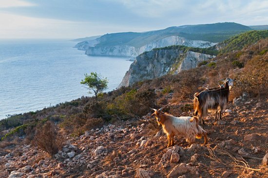 La randonnée au centre de l'île ou sur les côtes