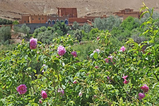 Vallée des Roses