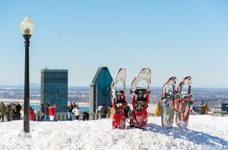 Découvrir de nouveaux panoramas en raquettes