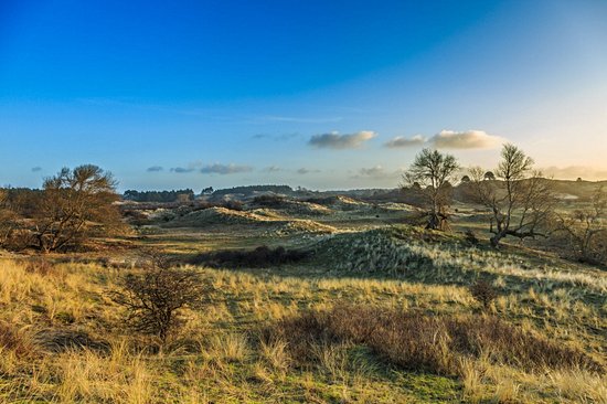 Parc national Zuid-Kennemerland