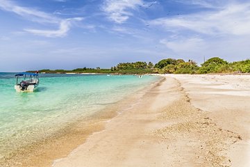 Île Iguana