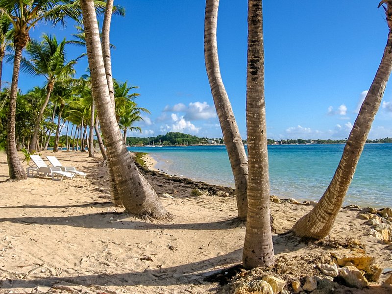 Sainte-Anne et ses plages