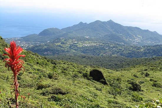 Le sud de la Basse Terre