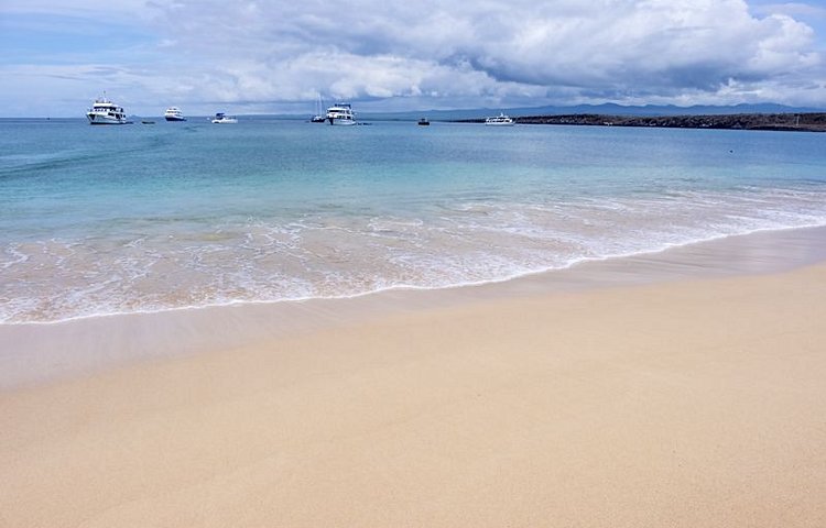 Plage sur l'île Baltra