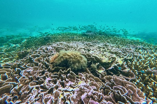 Découvrir Anda : plages et grottes secrètes