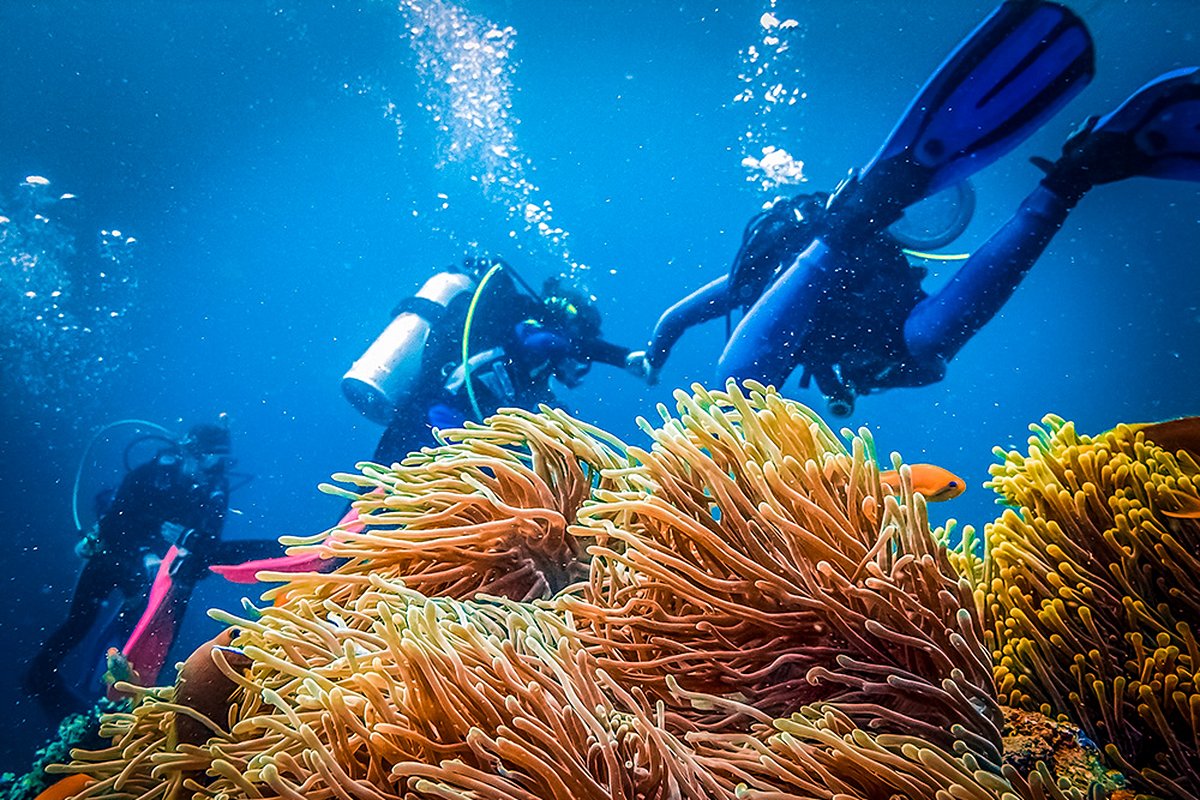 Plongée sous-marine