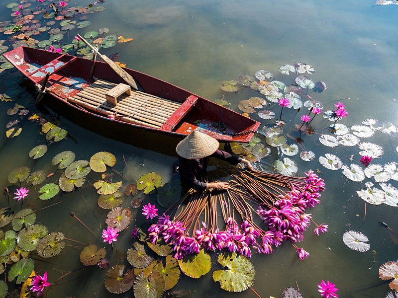 Ninh Bình et les grottes de Tam Coc