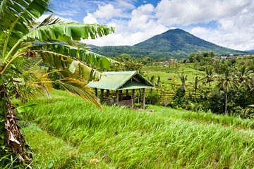 Mont Batukaru