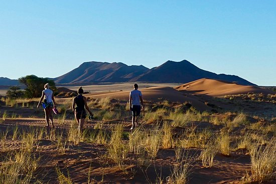 Randonnée dans le désert du Kalahari