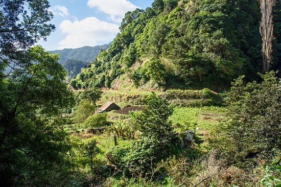 Levada dos Maroços