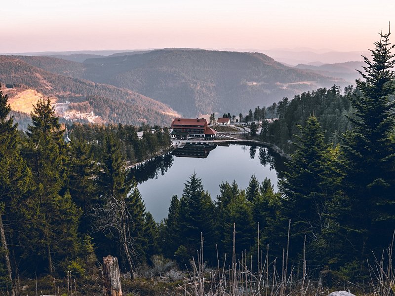 La rando bucolique : le Hornisgrinde