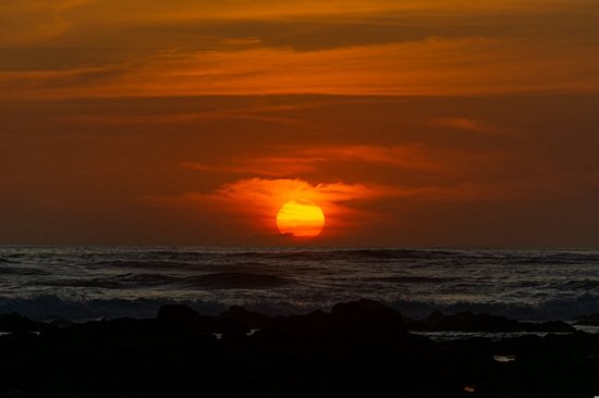 L’entraineuse : Playa Avellana