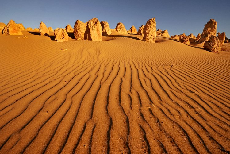 Pinnacles Desert 2