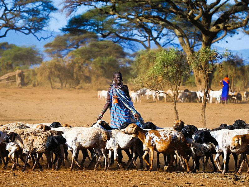 Amboseli