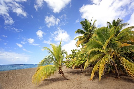 Grande Anse du Carbet
