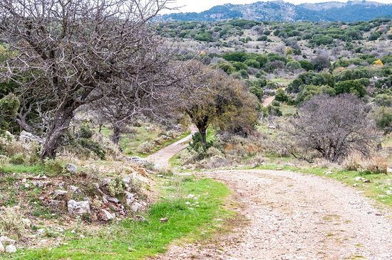 Menalon Trail