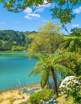 Les plus beaux lieux des Açores