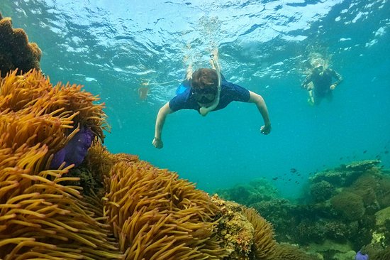 Faire du snorkeling et de la plongée