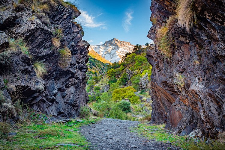 La Sierra Nevada 3