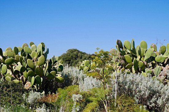 Vendicari Reserve