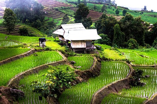 Chiang Rai
