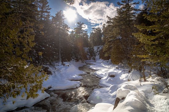 Parc des Chutes-Dorwin
