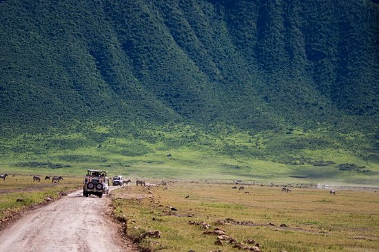 Faire un safari dans le cratère