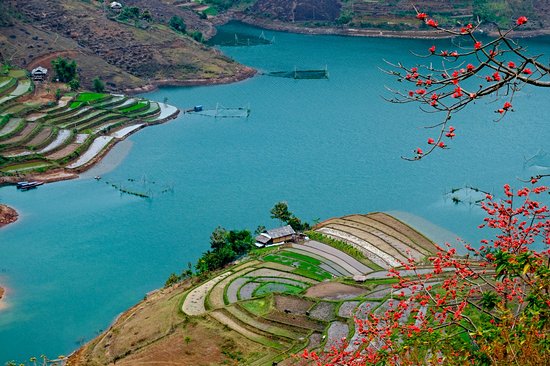Le lac Thác Bà