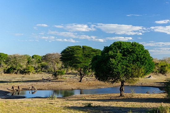 Tembe Elephant Park