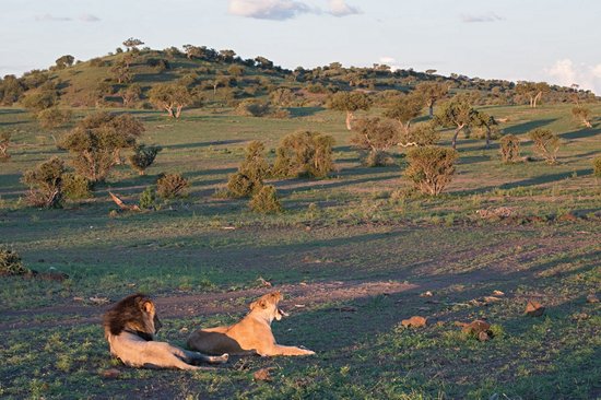 Mashatu Game Reserve